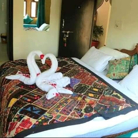 Resting Love Hostel Jaisalmer Zewnętrze zdjęcie